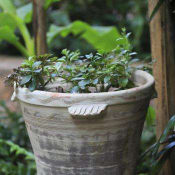 Hotel Napoléon Menton - Garden