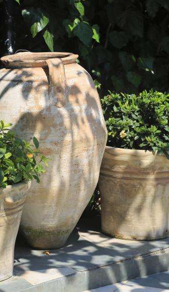 Hotel Napoléon Menton - Jardin